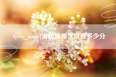 肇庆消防救援学院要多少分