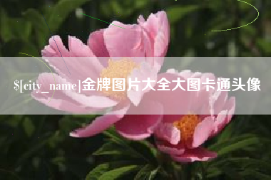 肇庆金牌图片大全大图卡通头像