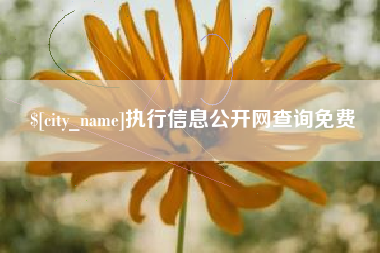 肇庆执行信息公开网查询免费