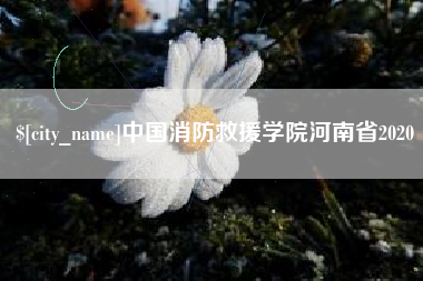 肇庆中国消防救援学院河南省2020
